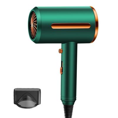 China Factory Direct Sale Other Negative Ion Electrical Portable Hair Blow Dryer Household Hair Blow Dryer for sale