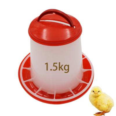 China Low Feed Bowl Chicken Auto Feeder Waste Cage Poultry Feed Drum Poultry Livestock Farming Equipment for sale