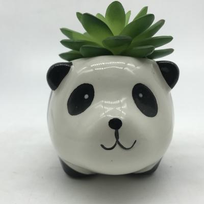 China Beautiful Minimalist Home Decor Ceramic Panda Pots Flower Planters Ceramic Succulent Pot for sale