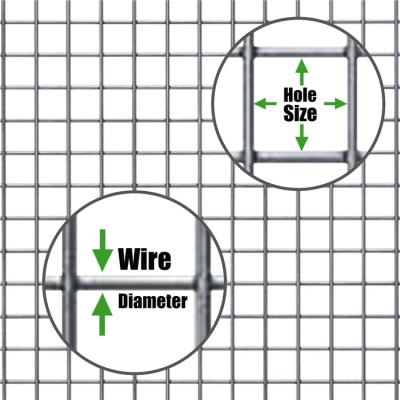 China Construction Wire Mesh Hot Dipped Galvanized Welded Wire Mesh For Birdcage Welded Wire Mesh Roll for sale