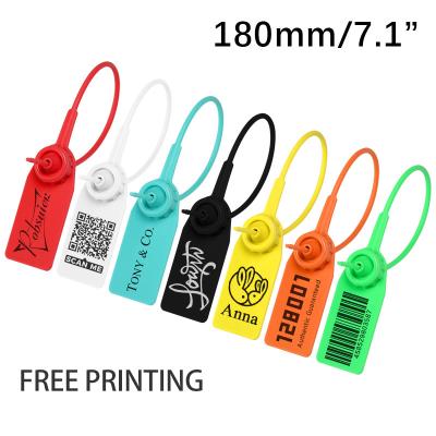 China LOGO Custom Disposable Plastic Personalized Safety Hang Label Tags Seal For Sustainable Clothes Shoes Garment Fire Extinguisher for sale