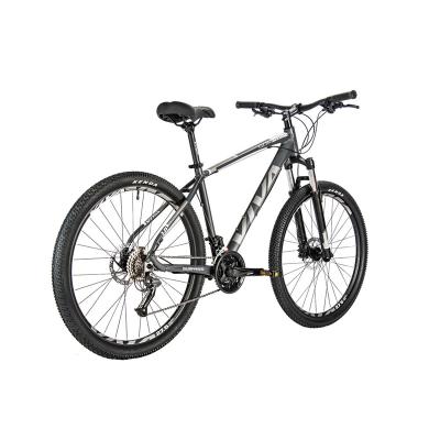 China Best Selling VIVA Mountain Bike 27speed China Aluminiun 6061 Professional Mountain Bike Sports Mountain Bike for sale