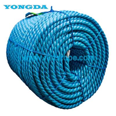 Cina 4mm 6mm 8mm PP Farm Rope per l'allevamento di animali/serre/albero da frutto/coltivazione di frutti in vendita