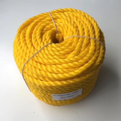 China 10mm PP 3 Stand Twisted Garden Support Rope For Fencing/Livestock Handling/Irrigation Systems/Crop Support for sale