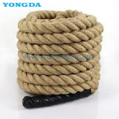 China ISO1181-2004[E] 8 Strand Braided Manila Rope for sale