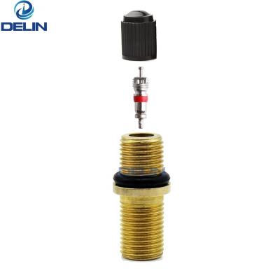 China Pump Valve for Submersible Pump Schrader Valve Stem 8v1 Brass Thread for sale