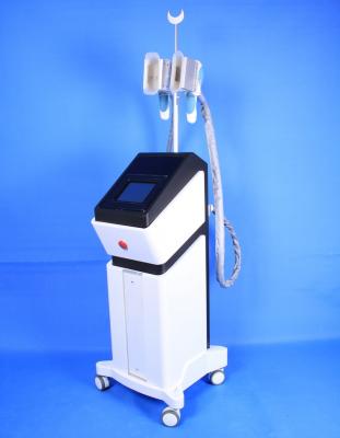 China 4S cryo handles cryolipolysis body slimming machine for sale