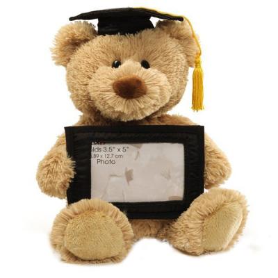 China Up 36 Months Wholesale Customize Plush Graduation Sitting Teddy Bear With Dress for sale