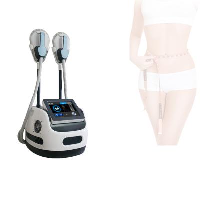 China 2021 newest fat fat weight loss emslim rf burning emslim rf machine for sale