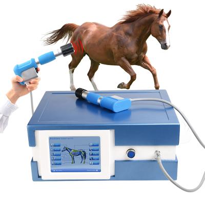 China Reduce Pain Shockwave Therapy Machine Horse Shockwave High Quality Electromagnetic Shockwave Therapy for sale