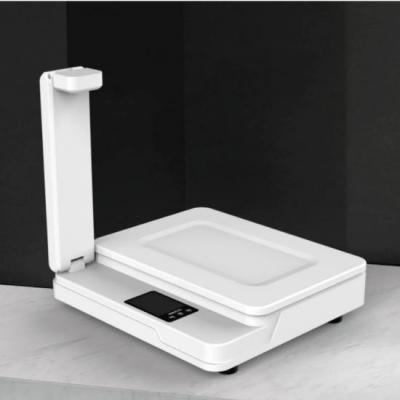 China Compact C2 AI beeldherkenning PC schaal hoge nauwkeurigheid Fruit Weight Scale Te koop