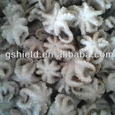 China Good quality cheap price IQF baby frozen octopus for sale 20-60g bay octopus for sale