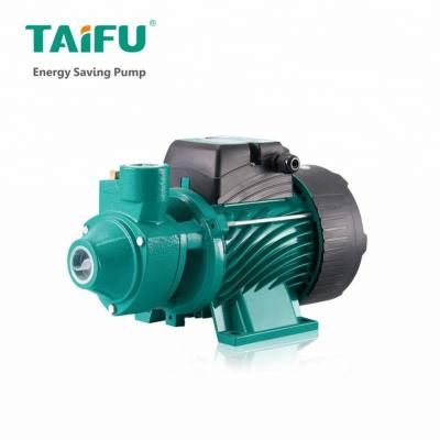 China Hot Selling Water Pump QB70 QB80 Water Pumps Greenhouse for sale