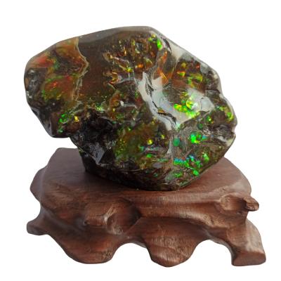 China Fancy Specialty Gems Canada 73*53*43mm Ammolite loose gemstone from Canada manufacturer for sale