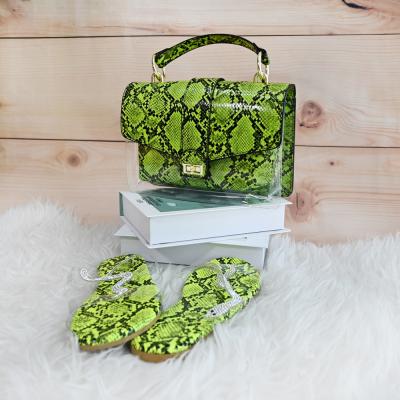 China Fashion Trendy Fashion Handbags 2019 Women Lady Handbags Sets Matching Shoe And Bag Set for sale