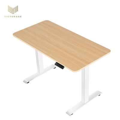 China VICTORAGE 2022 New Single Motorized Electric Sit Stand Height Adjustable Computer Desk 3 Memory (Height) Metal Hardware Adjustable Stainless Steel for sale