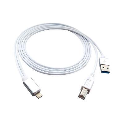 China Mobile Phone Types USB 2.0 Type-B OTG Adapter and Billing MIDI Cable for IOS Compatible Devices to Midi Controller for sale