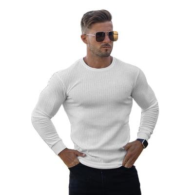 China High Quality Breathable Knitted T Shirts Mens Long Sleeve Tiger Breathable Elasticity for sale