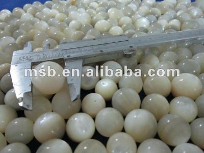 China China White Lip Broom Shell Pearl Cores For Pearl Cultivation Sea Shell Gemstone for sale