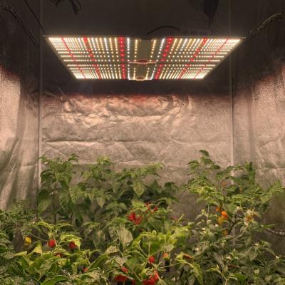 China Seed starting RX-G4000UR 240w 430W led grow light 3500k 3000k 4000k led v1 v2 v3 v4 IR UV grow lamp panel for sale