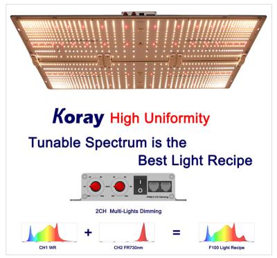 China Koray 240W 650W dimming knob led to grow light spectrum led veg led to grow light strategist 288 lm301b 240w 301h for sale