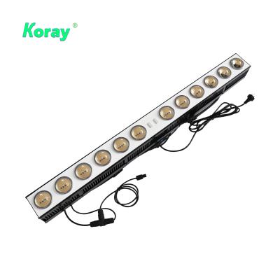 China AC100~305V 600w 500w 400w 300w Ultra-high Efficiency Mix Aluminum 660nm Deep Red Indoor Hydroponic Agriculture Led Grow Light Bar for sale