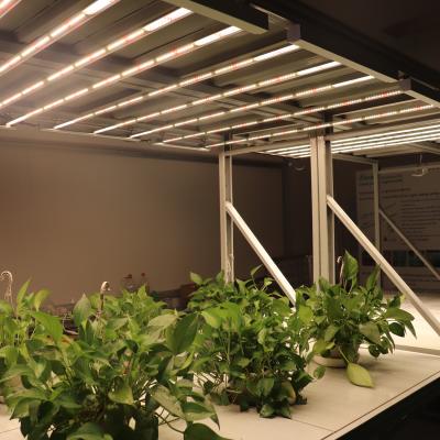 China Seed Starting Type PPF 160W 320W 640W 800W 1000W High Bar CE ROHS Spydr Indoor Medicinal LED Grow Light for sale