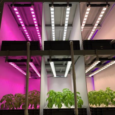 China Seed Starting Factory Wholesale Super Bright Hydroponic Full Spectrum Customized Indoor Led Grow Lights for sale