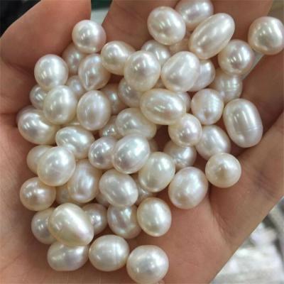 China Jewelry Earring Drop Natural Pearl Loose Beads For Making Necklace 9mm 10mm 11mm Freshwater Pearl 3A Grade Rice Beads for sale