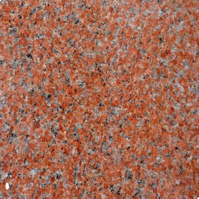 China Cheap Light Gray Granite For Sale China G603 Granite China G603 24x24 Modern Granite Tile for sale