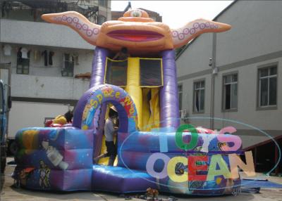 China Commercial Space Inflatable Slides , Kids Inflatable Water Slide Rentals for sale