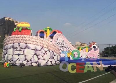 China Outdoor Gaint Inflatable Slides Animal Design Huge Dry Slide With Round Pool For Park Rental for sale