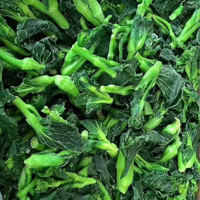 China iqf FROZEN green vegetables bulk price frozen chinese rape flowers for sale