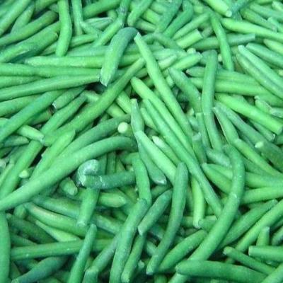 China Frozen Green Bean FROZEN for sale