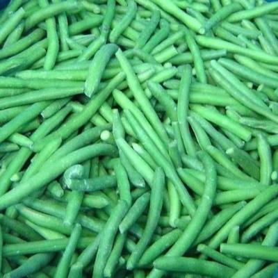 China French Cut Low Price High Value Green Beans Iqf Green Vegetable Jelly JELLY for sale