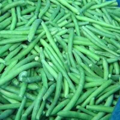 China Factory price 10kg 20kg bulk frozen fresh green vegetable beans for sale for sale