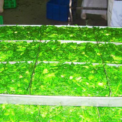 China Healthy Premium Quality IQF Fresh Vegetables Frozen Green Shepherds Pinch On Sale for sale