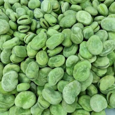 China Good quality healthy whole raw iqf frozen fava green peeled broad bean for sale