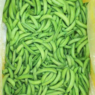 China Factory price healthy high quality iqf sugar instant peas frozen sweet peas for bulk for sale