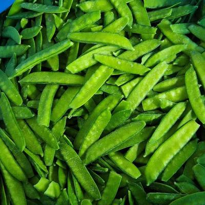 China Frozen snow peas FROZEN for sale