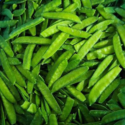 China Chinese Supplier Wholesale Price Healthy Frozen Green Sweet Peas for sale