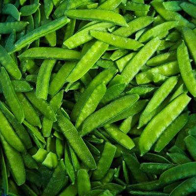 China Healthy Wholesale Reasonable Price High Value IQF Natural Peas For Sale for sale