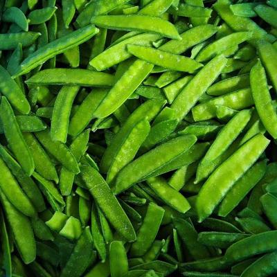 China Healthy wholesale iqf vegetables snow frozen green bean pods with competitive price for sale