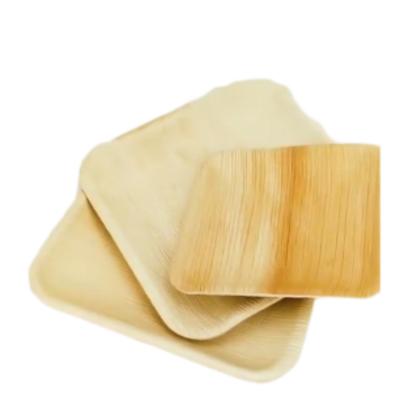 China Best Selling Disposable Compostable Biodegradable Areca Palm Leaf Disposable Palm Leaf Dishes for sale