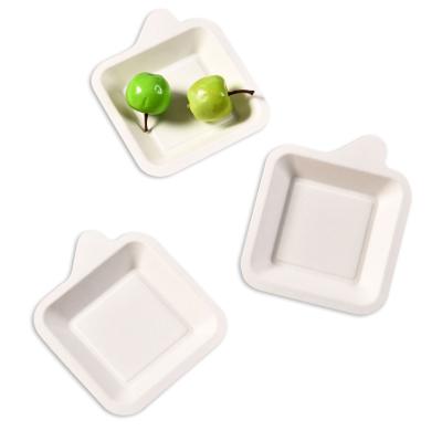 China Disposable For Fast Food ShopDisposable Square Sugar Cane Plate Degradable Sugar Cane Dish Biodegradable Food Container for sale