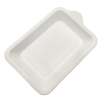 China 100% Biodegradable Square Sugar Cane Plate Disposable Sugar Cane Dish Factory Eco-friendly Wholesale Price for sale