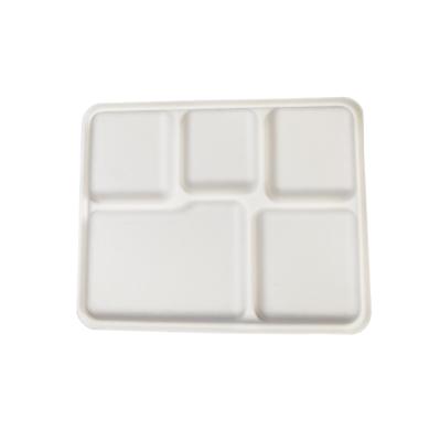 China Eco-friendly Sugar Cane Plate Disposable Bagasse Disposable Square Bagasse 5 Compartments Lunch Plate for sale