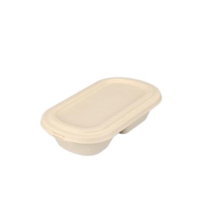 China Shangyan factory wholesale price disposable professional supplier 100% transparent biodegradable bagasse lunch box for sale