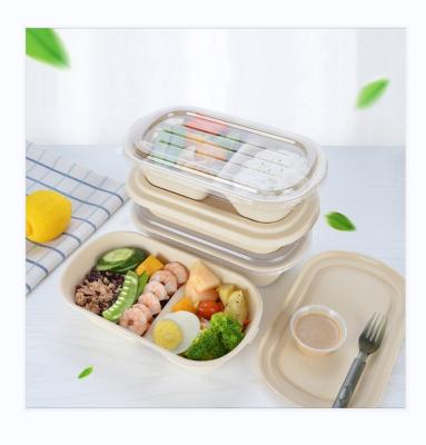 China Good Quality Disposable Tableware Shangyan Supplier Food Bagasse Container Professional Sugar Cane Bagasse Bowl Disposable Bagasse Bowl for sale