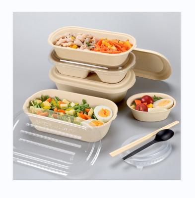 China Disposable Factory Wholesale Prices Wholesale Bagasse Lunch Box Good Quality Transparent Degradable Food Container Bagasse for sale